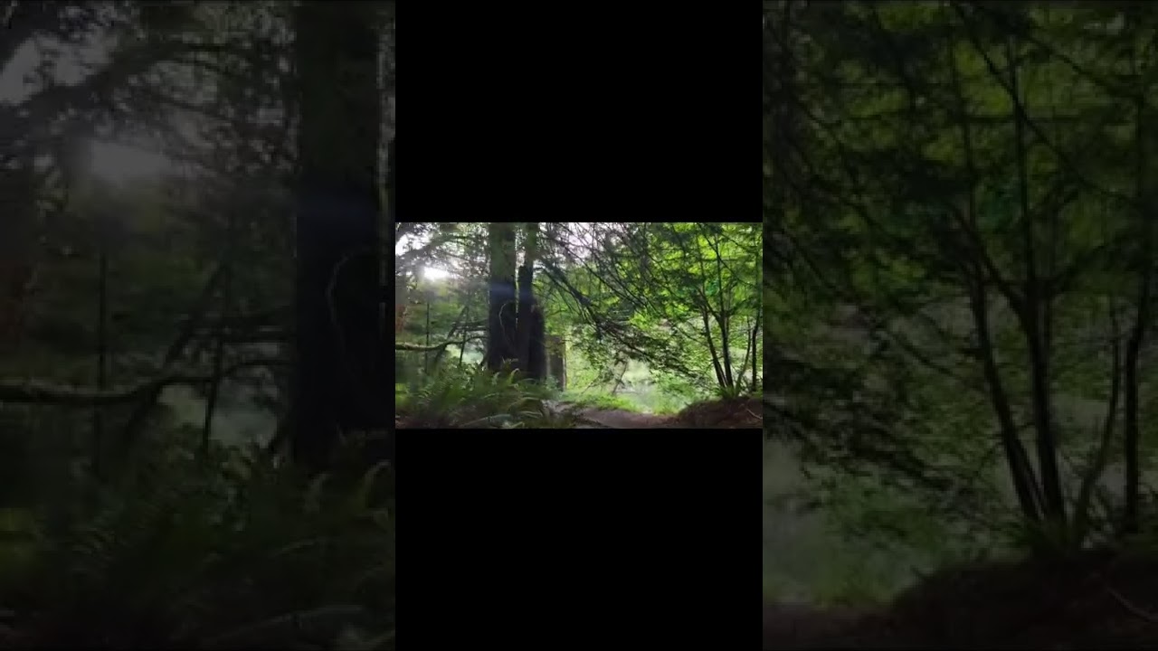How to find the best river spot in the Redwood forest in Southern Humboldt.