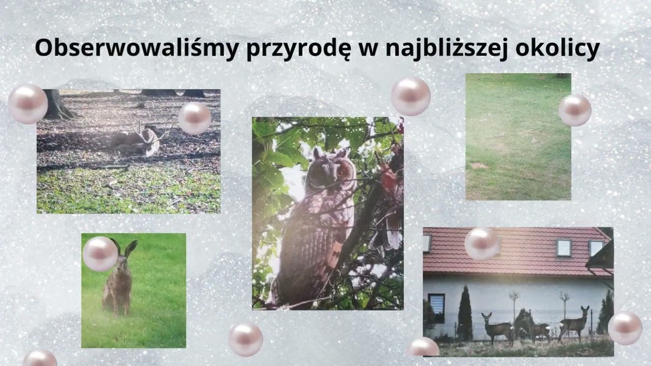 Szkoła Podstawowa nr 3 w Przeworsku- eko czwartaki