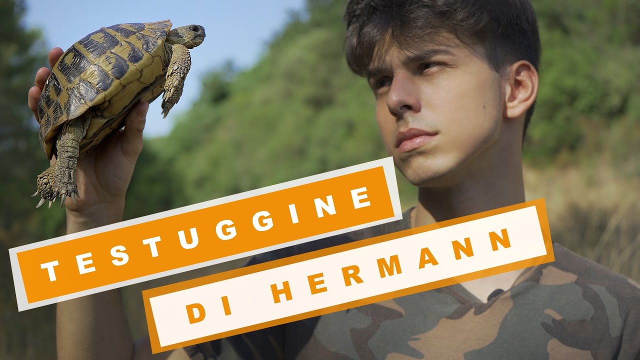Sulle tracce del RETTILE più LONGEVO d'Italia