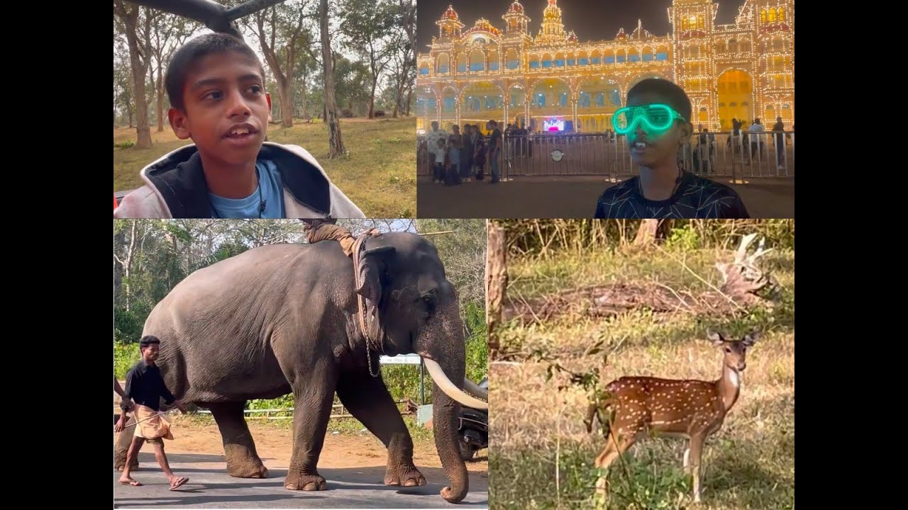 Mysore Road Trip Vlog by Deva | Mysore Palace | Bandipur Forest | Mudhumalai Safai | Bangalore IKEA