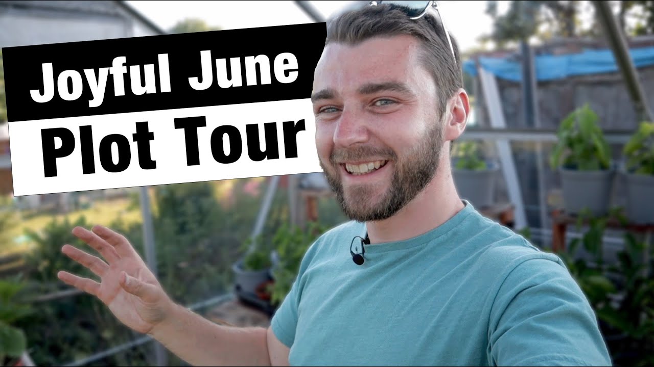 June Allotment Tour | The Joys of Spring | JB's Allotment Diaries