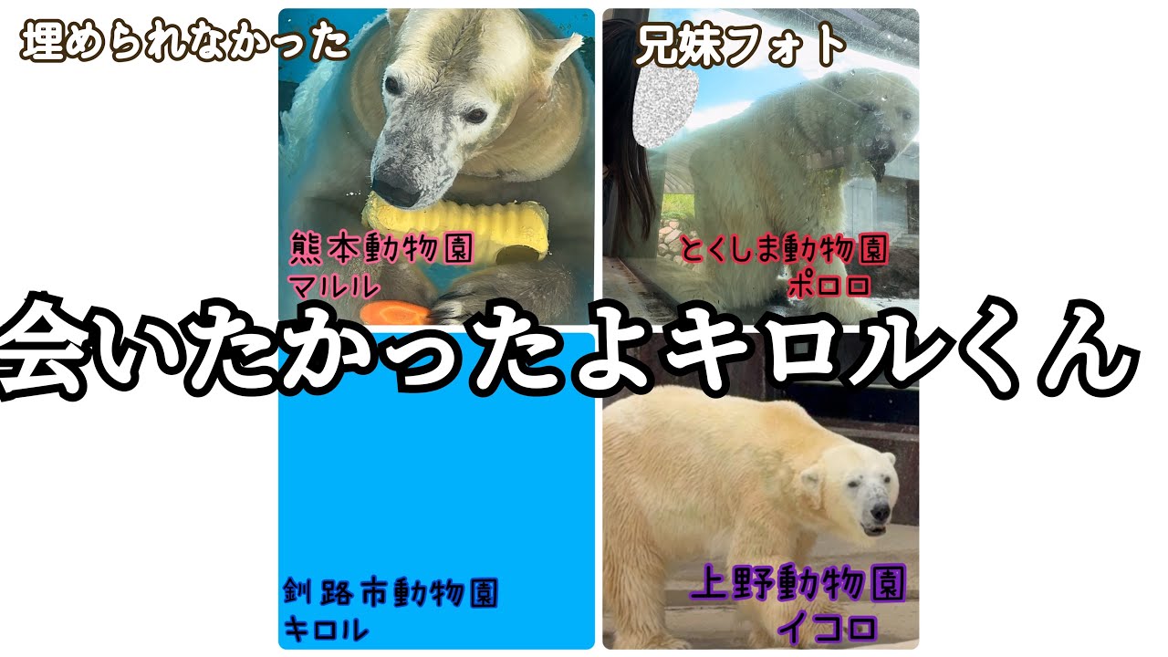 【追悼】早すぎるよ、キロルくん。【いま、一番会いたかった】