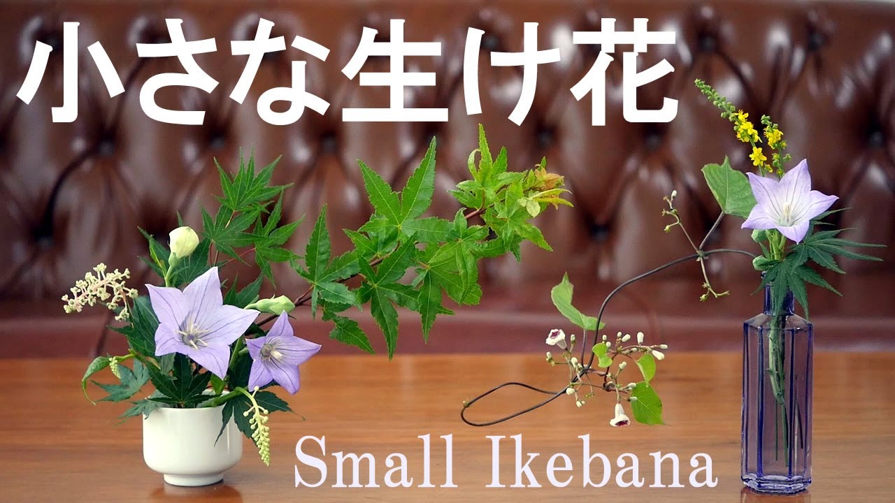 【生け花】野の花と庭の花で小さく生ける【ikebana】桔梗/紅葉/ヘクソカズラ/金水引/Small ikebana/小插花/Petite composition florale/Florzinha