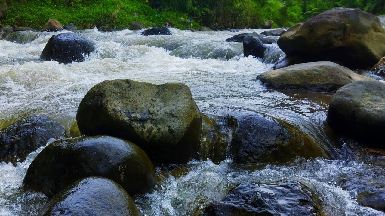 Deep Relaxation by a Tropical River | Nature ASMR for Sleep