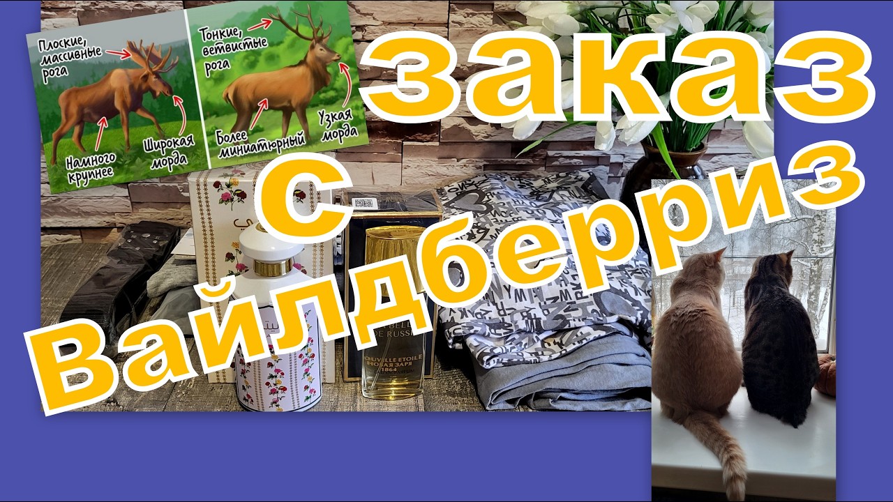 ВЛОГ:  КЛАССНЫЕ ПОКУПКИ С ВАЙЛДБЕРРИЗ, СМЕШНЫЕ ПУШИСТИКИ! ЗИМА В ДОМЕ!!!