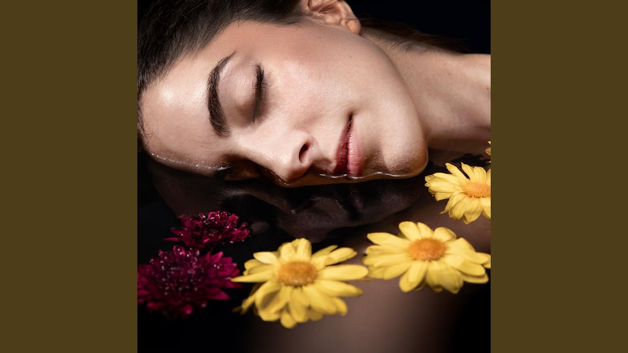 Where Stillness Feels Warm