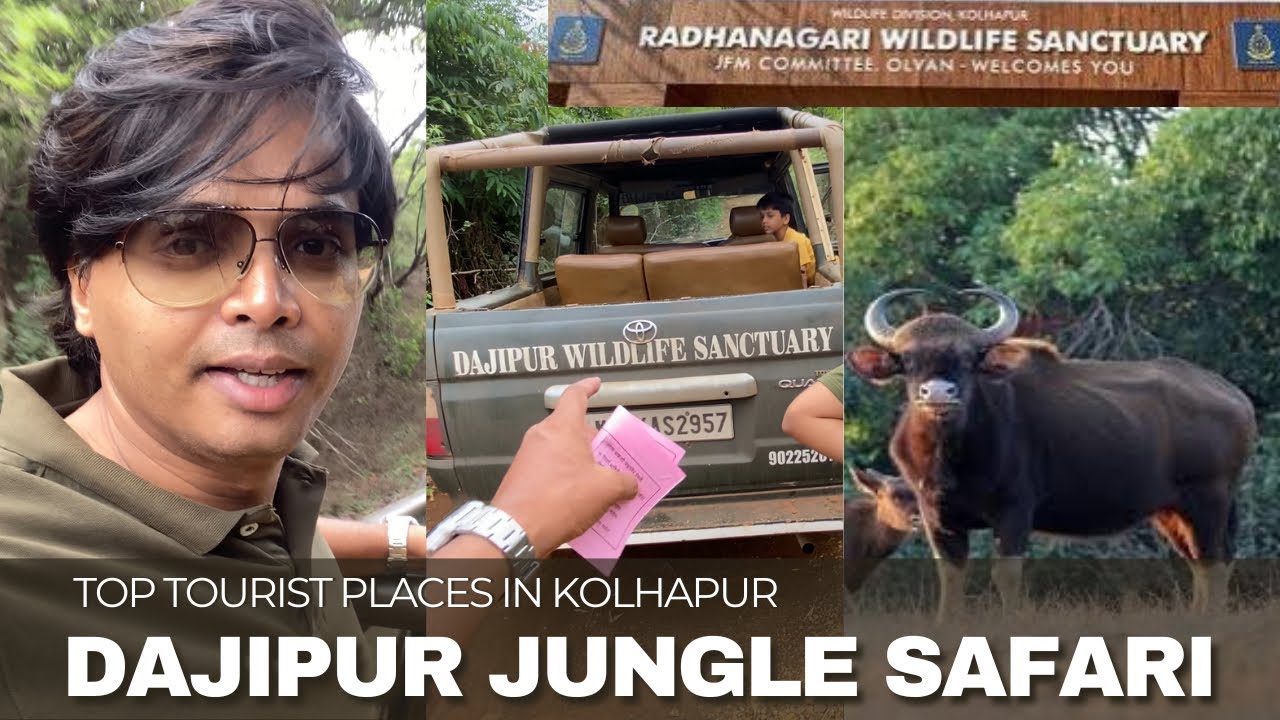 Dajipur Jungle Safari | Radhanagari Wildlife Sanctuary | Kolhapur Tourist Places