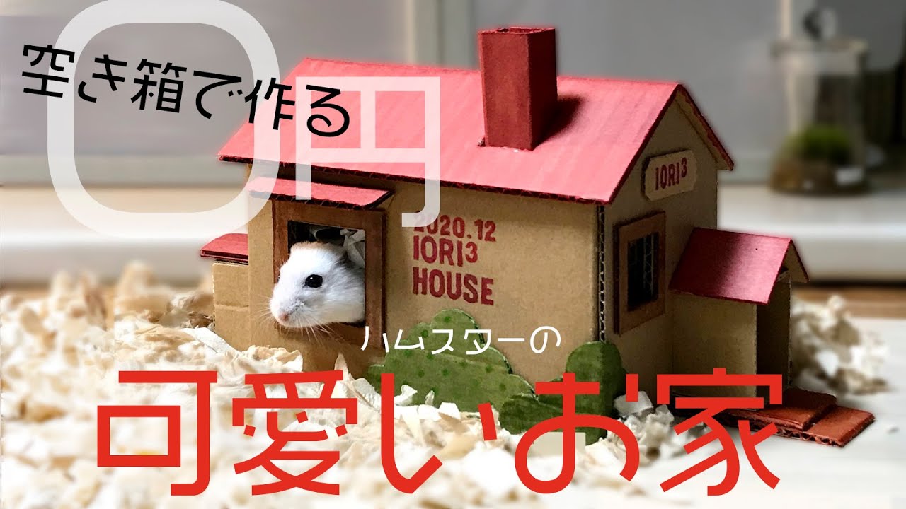 ハムスターの家の作り方　空き箱を利用すると簡単！