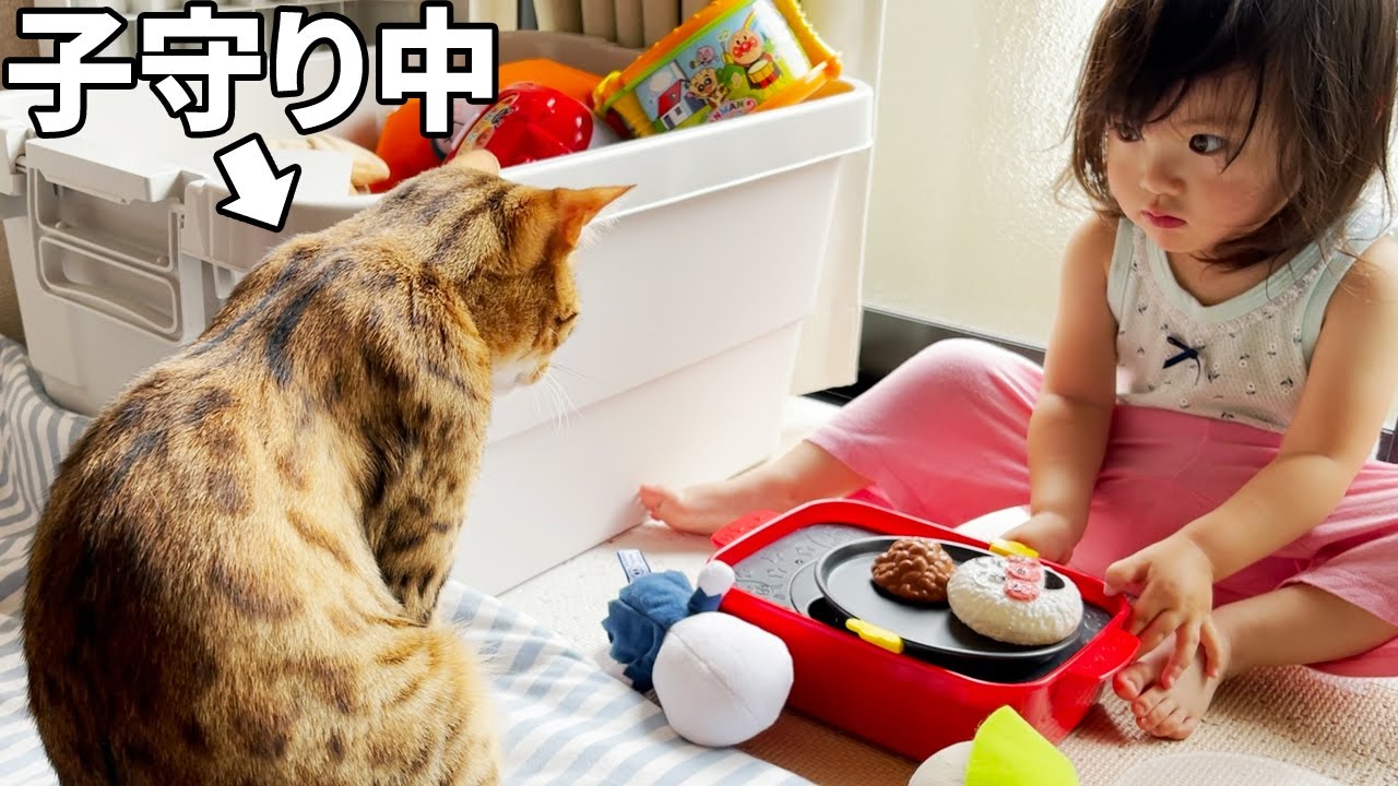 2歳娘の早朝おままごとを見守る寝起きの子守り猫