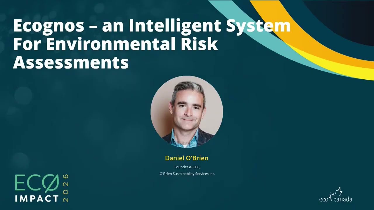 Ecognos – an Intelligent System For Environmental Risk Assessments