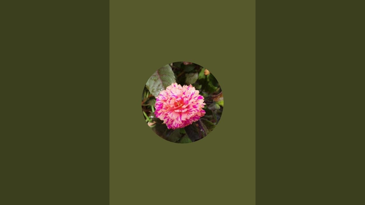 how to draw flower in easy way