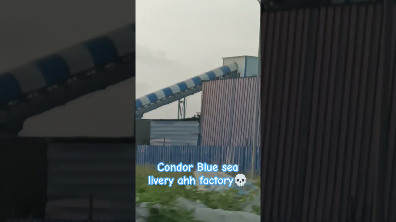 Condor ahh factory 🏭 💀 #memes #soundeffects #funny #aviation #avgeek #aviationmeme #fyp #foryoupage