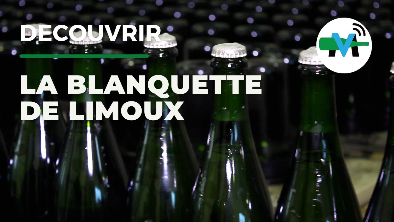 À la découverte de la Blanquette de Limoux