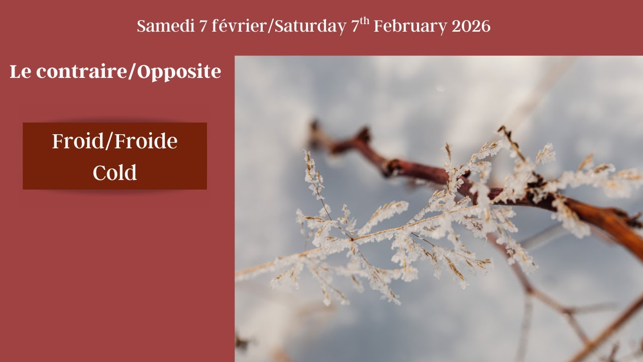 Daily French stories: Froid-Chaud/Cold-Warm #learnfrench #french #frenchlessons