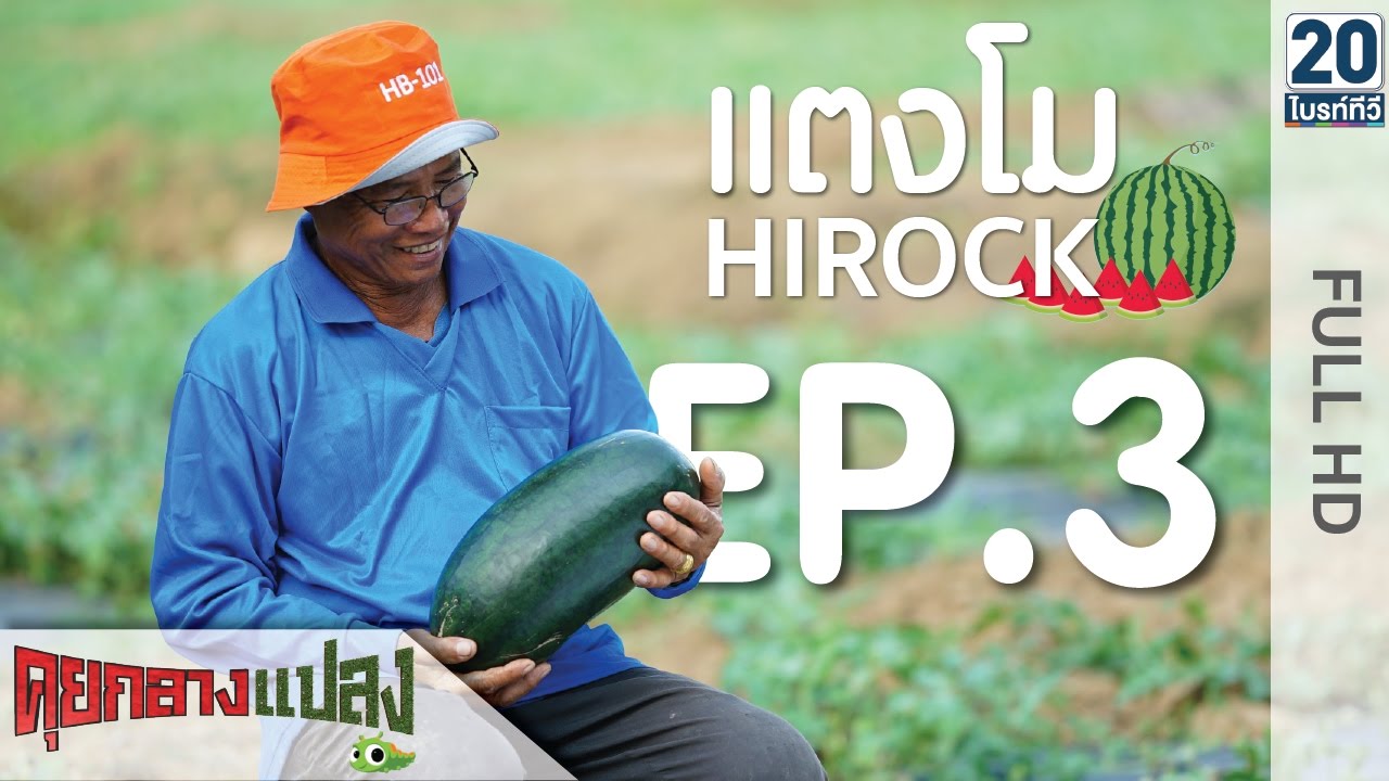รายการคุยกลางแปลง l EP.3  แตงโม l 12 ก.ค. 59 l BRIGHT TV ช่อง 20 l Full HD
