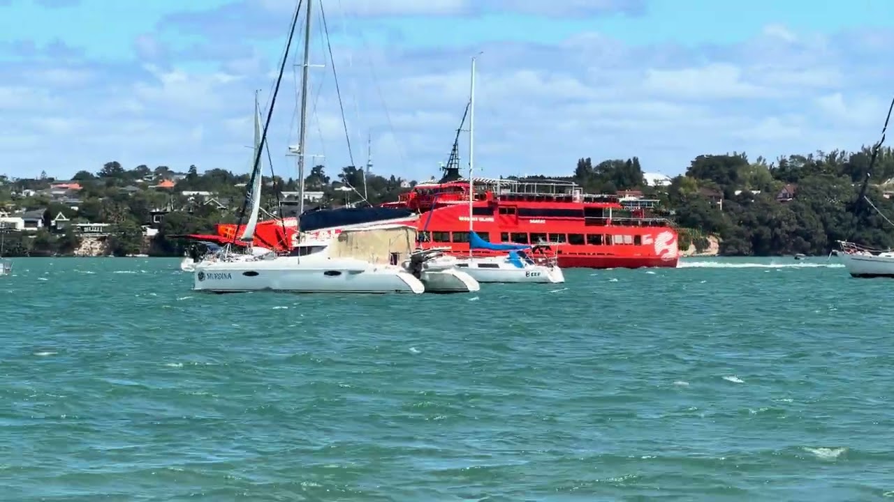 Amazing Sea & Ship View Auckland #SeaView #ShipSpotting #SeaLovers #ShipVideo #SeaWaves #OceanView