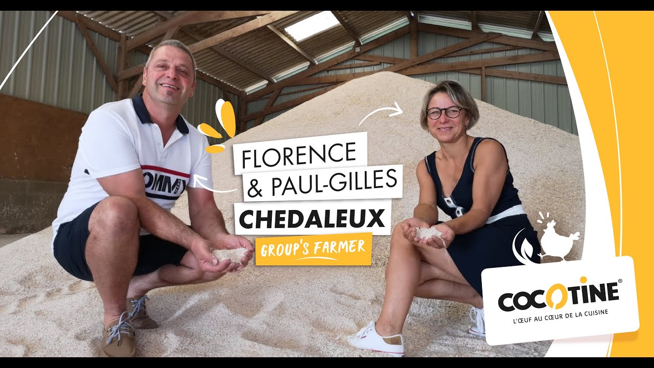 Cocotine Eggshell Recycling Cycle (English Subtitles)