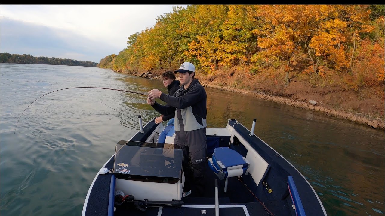 Monster Fall Trout...Lower Niagara River