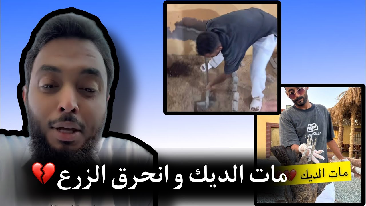 الزرع انحرق ومات الديك 💔💔, سنابات اسامة الشريف