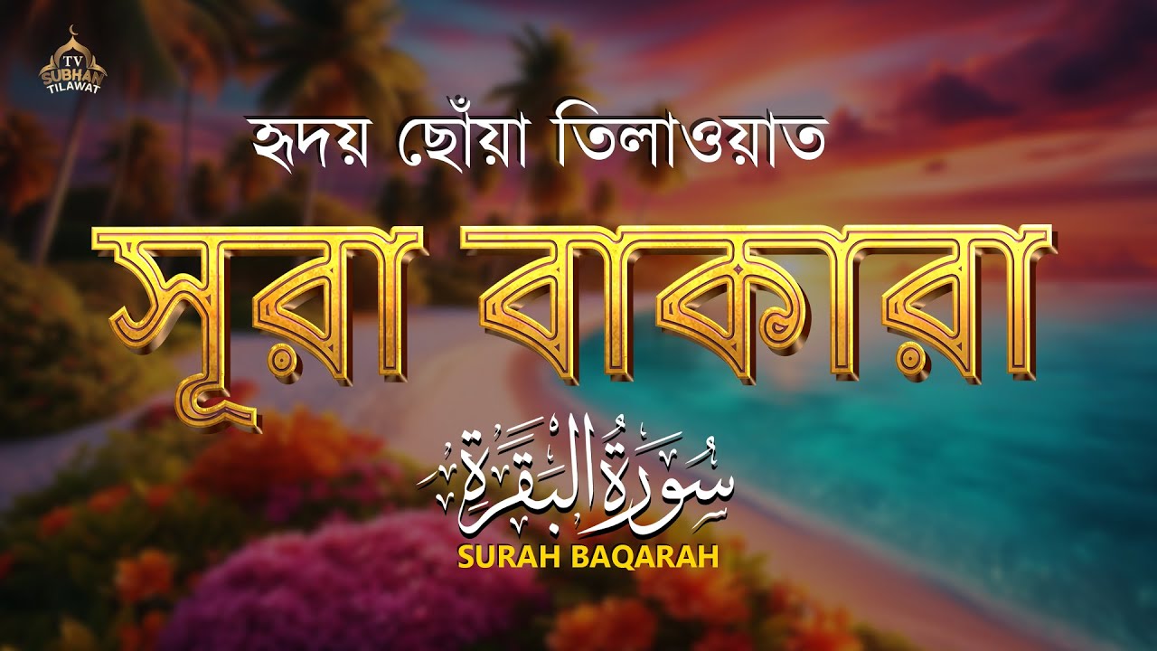 🌿 পৃথিবীর সবচেয়ে আবেগময় সুরা বাকারা তেলাওয়াত | Surah Al Baqarah (سورة البقرة) by Alaa Aqel 🎧