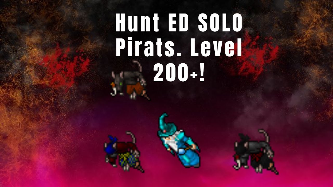 Tibia - Hunt ED SOLO Pirats (Rascacoon - The Wreckoning) . 700k/h de profit a partir do level 200!