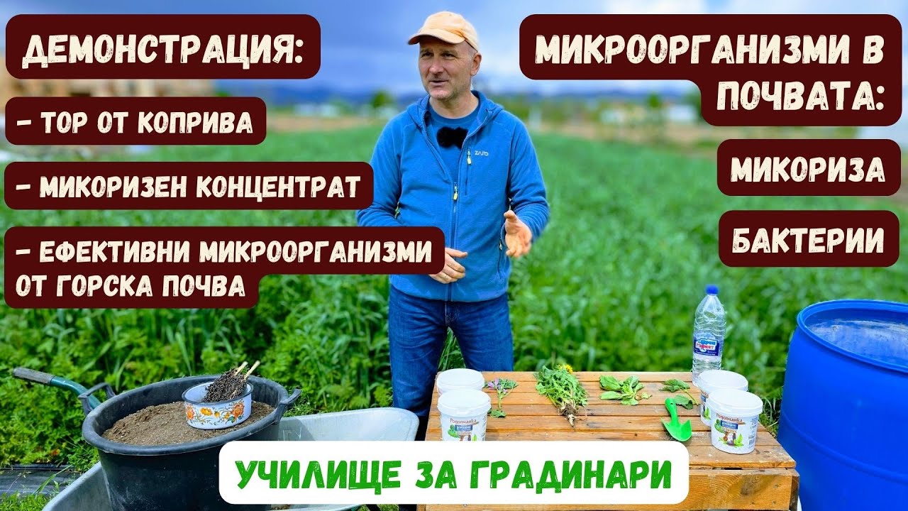 Животът в почвата. Микроорганизми: микориза и бактерии. Училище за градинари