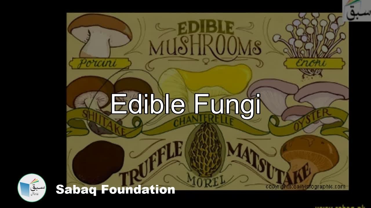 Edible Fungi, Biology Lecture | Sabaq.pk