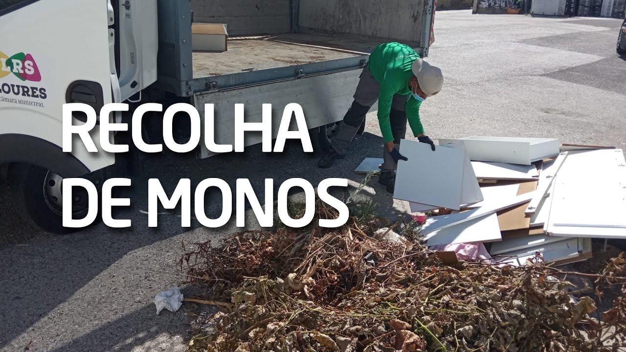 Recolha de Monos