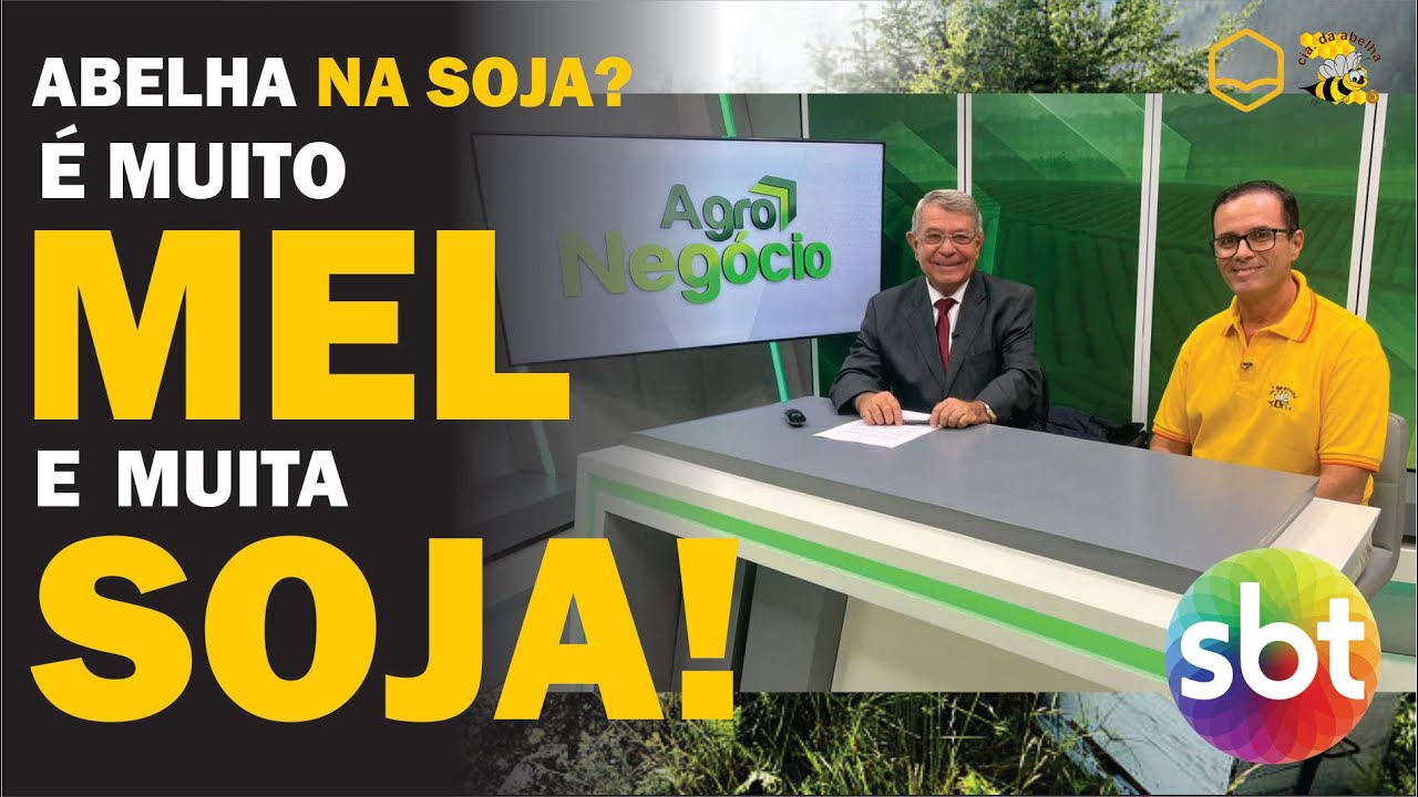 OS BENEFÍCIOS DE CRIAR ABELHAS NAS LAVORAS DE SOJA | 