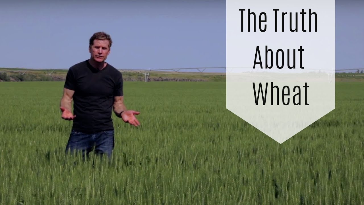 The Whole Truth about Whole Wheat
