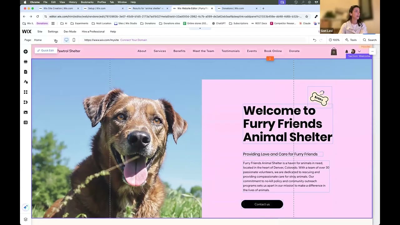Unlock Your Website’s Potential with the Wix Donations App and AI Marketing Agent
