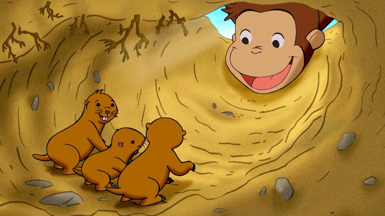 Salvare le talpe 🐵 Curioso Come George 🐵 Cartoni per Bambini