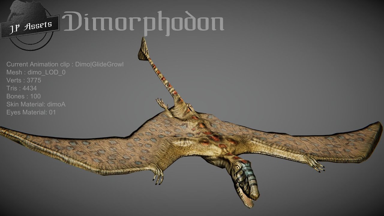 Dimorphodon