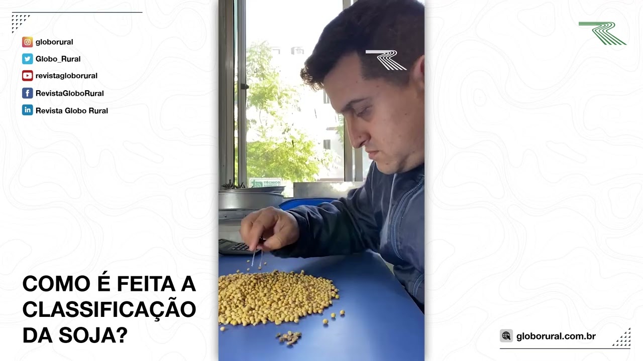 Como é feita a classificação da soja