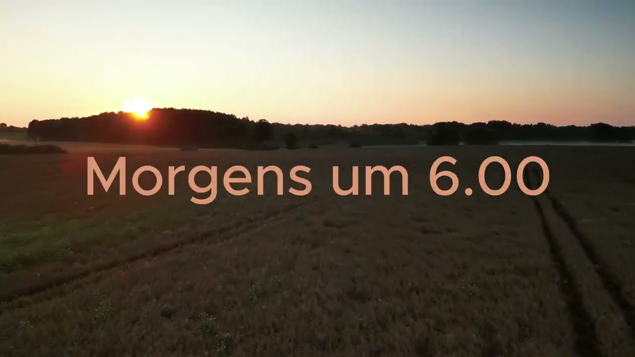 Dankbar für diesen schönen Morgen!