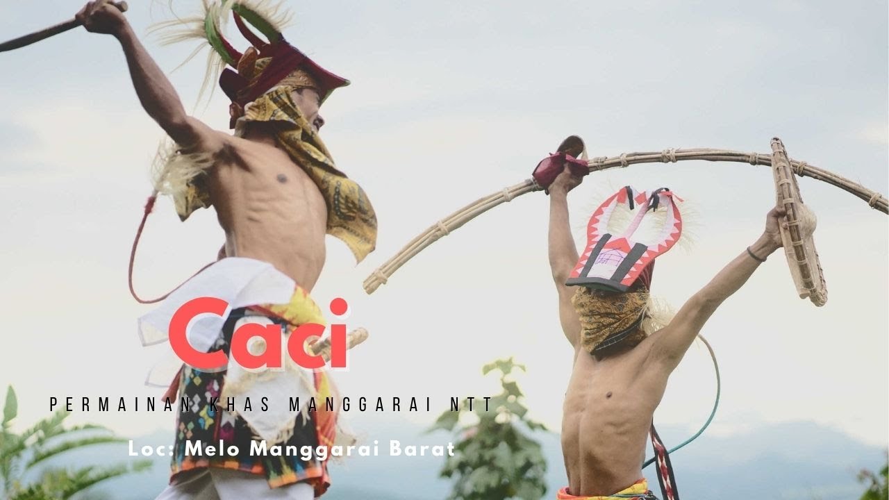 Permainan Caci Melo Liang Dara Manggarai Barat NTT