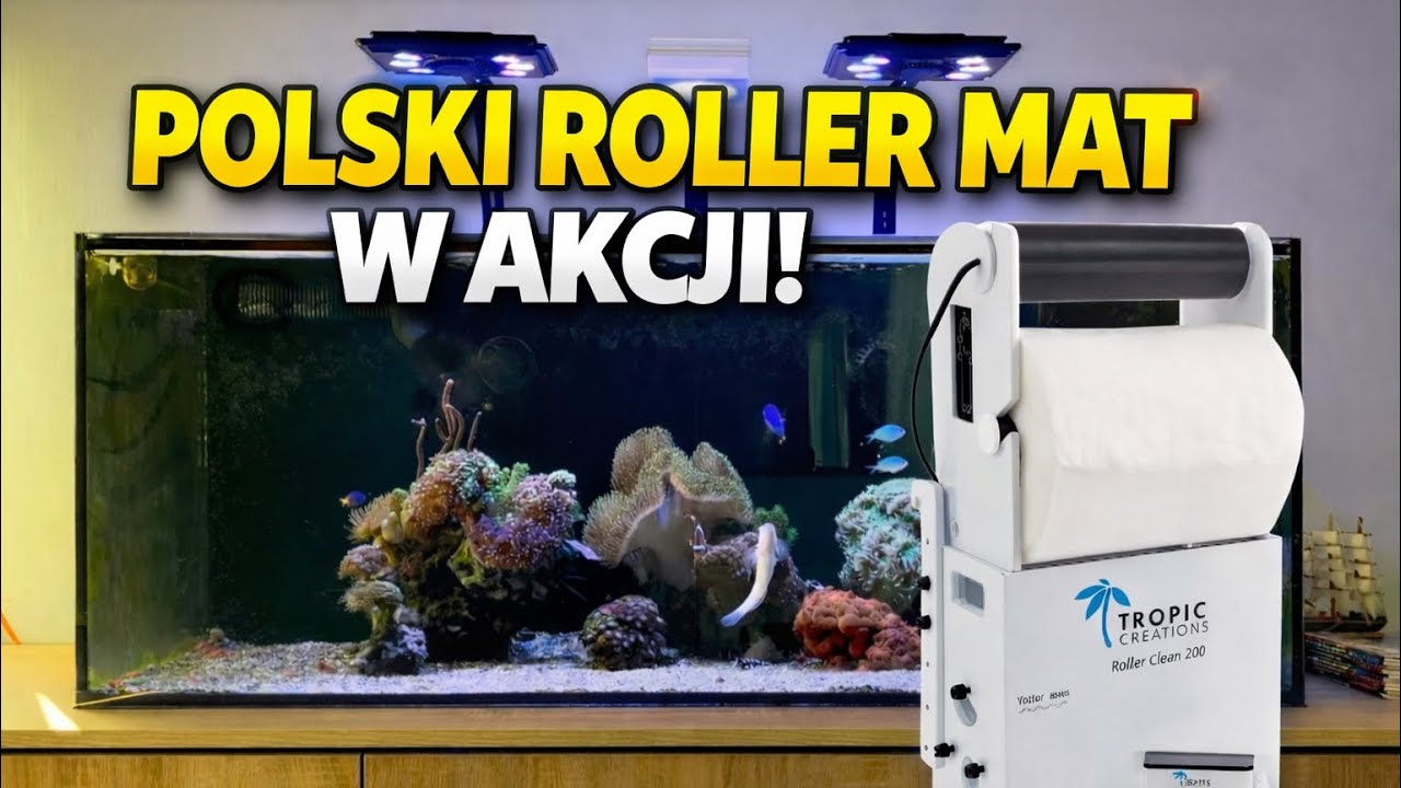 POLSKI ROLLER MAT | AKWARIUM MORSKIE #akwarium 