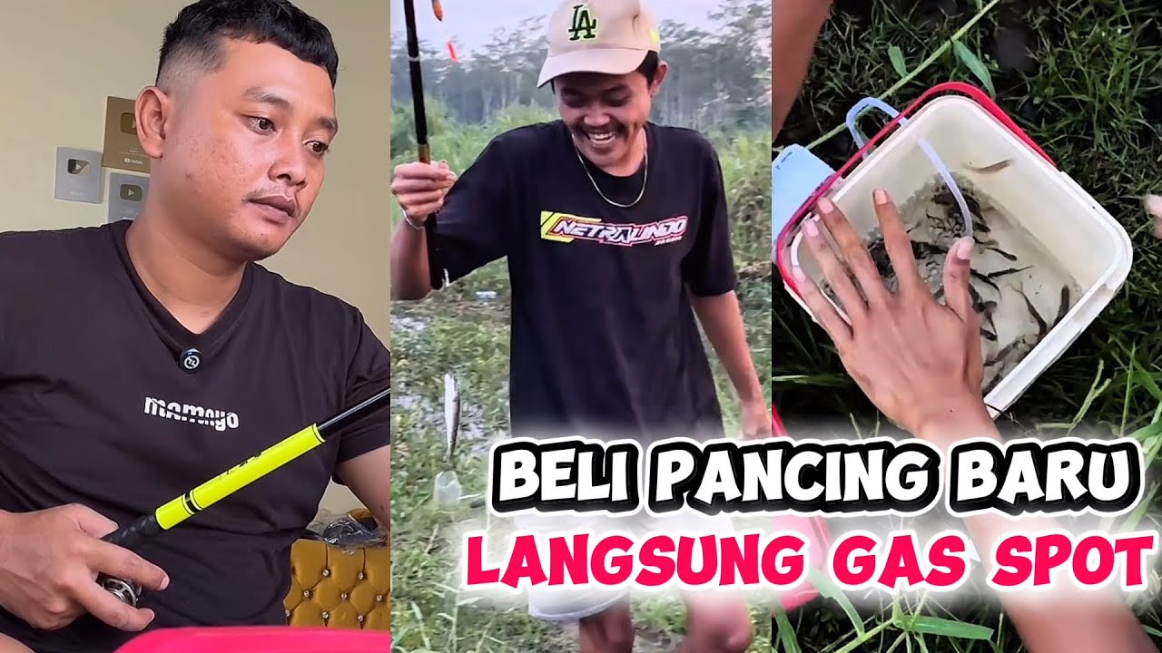 JORAN TEGEK BARU MAMAYO GAS SPOT HASIL MEMUASKAN MANCING MICRO SPOT LIAR DIGUYUR HUJAN SAMPAI MALAM