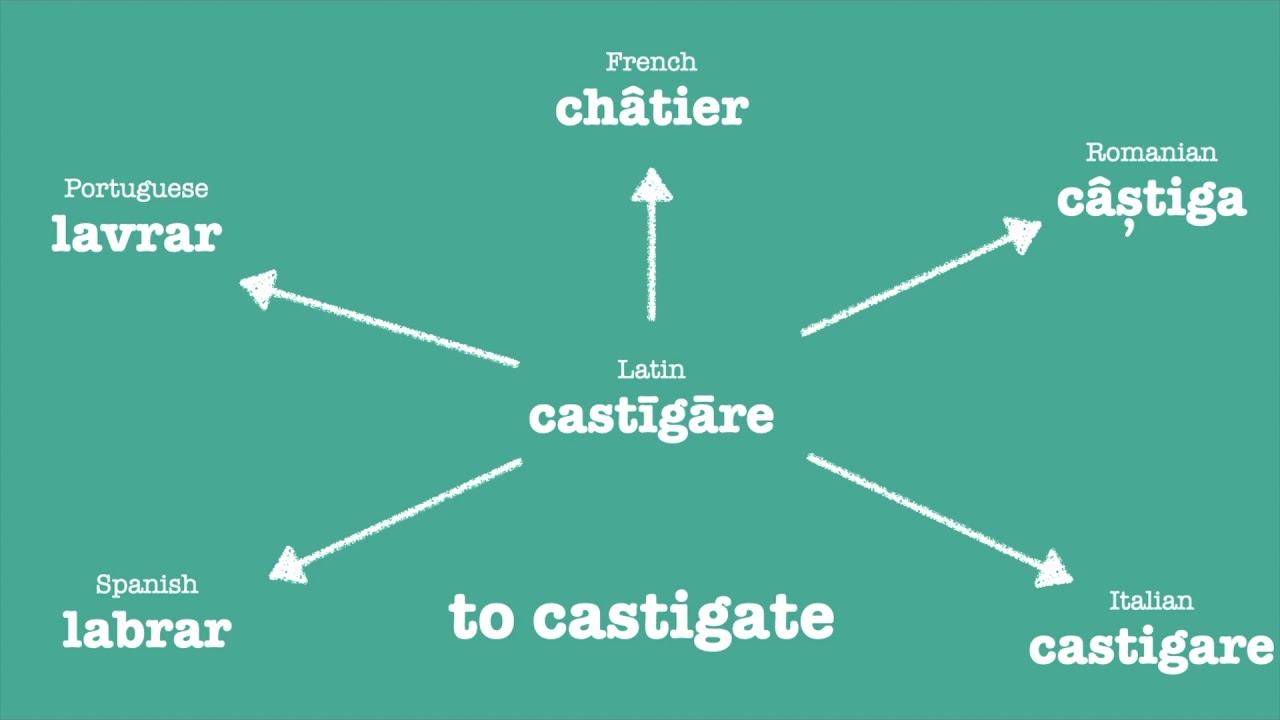 Romance Languages Comparison: Verb 5