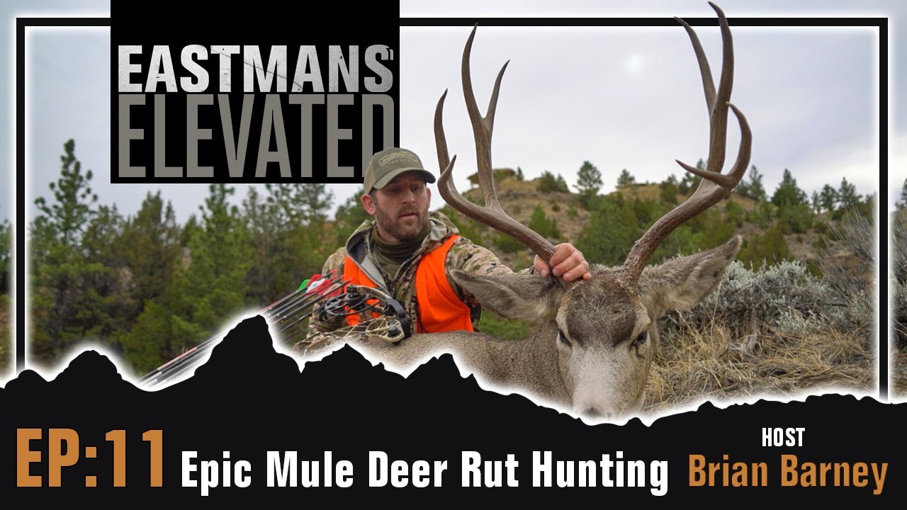 Epic Mule Deer Rut Hunting | Eastmans' Elevated Podcast #11
