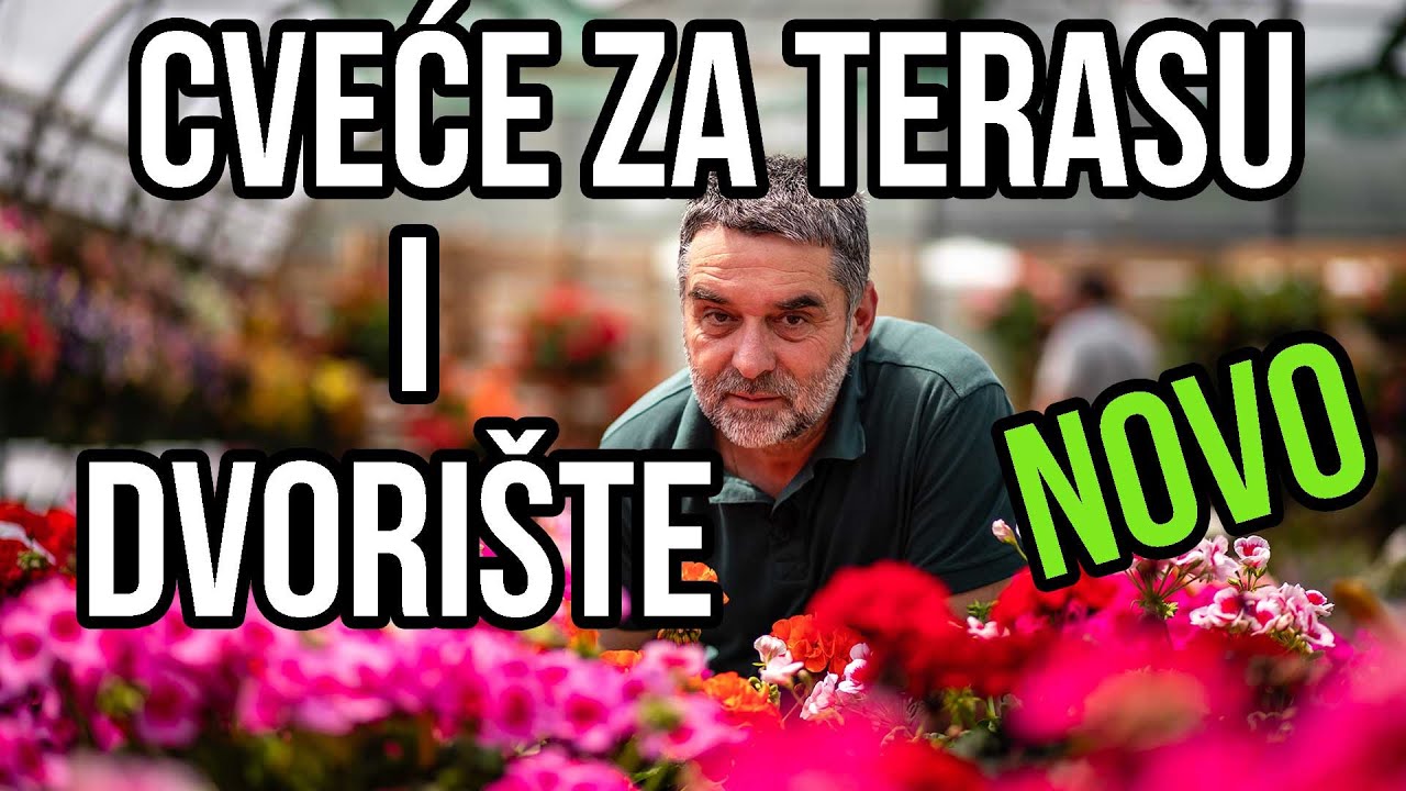 Cveće za terasu i dvorište