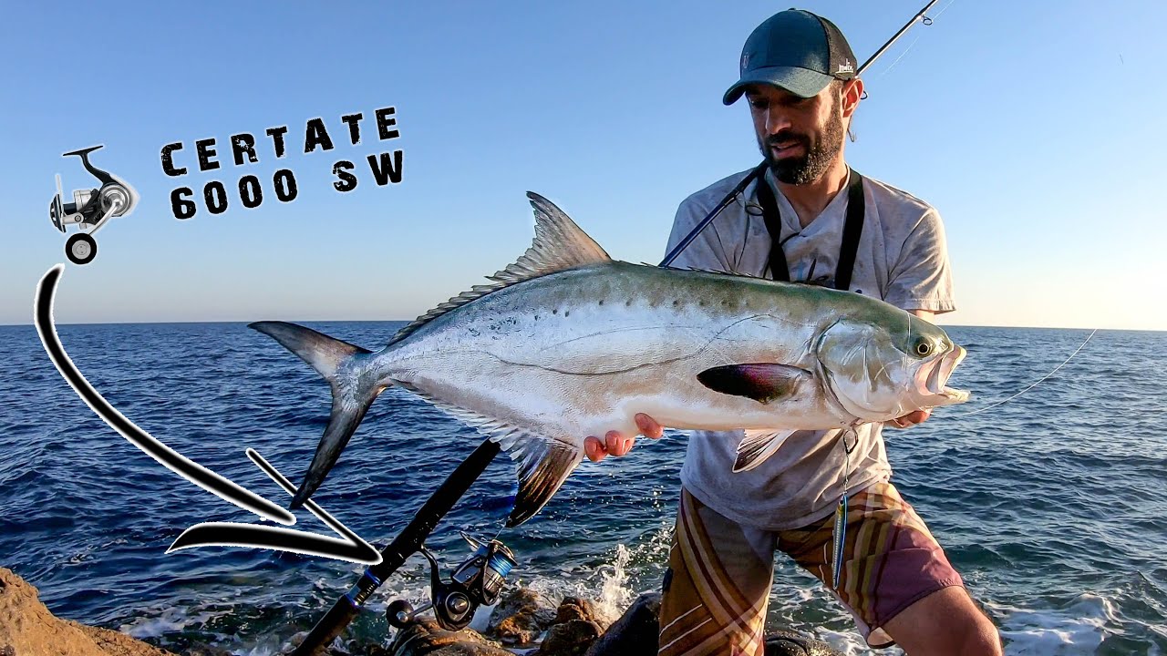 Leccia Amia a Shore Jigging