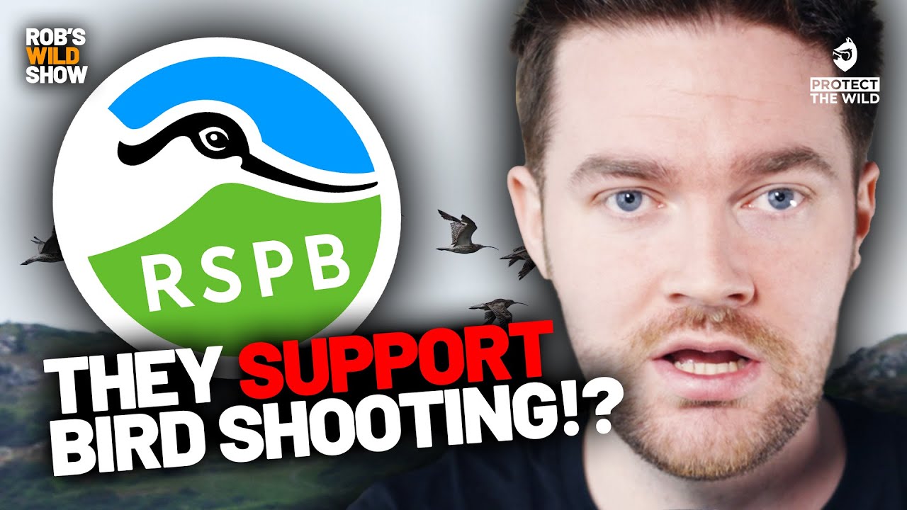 We need to talk about the RSPB...