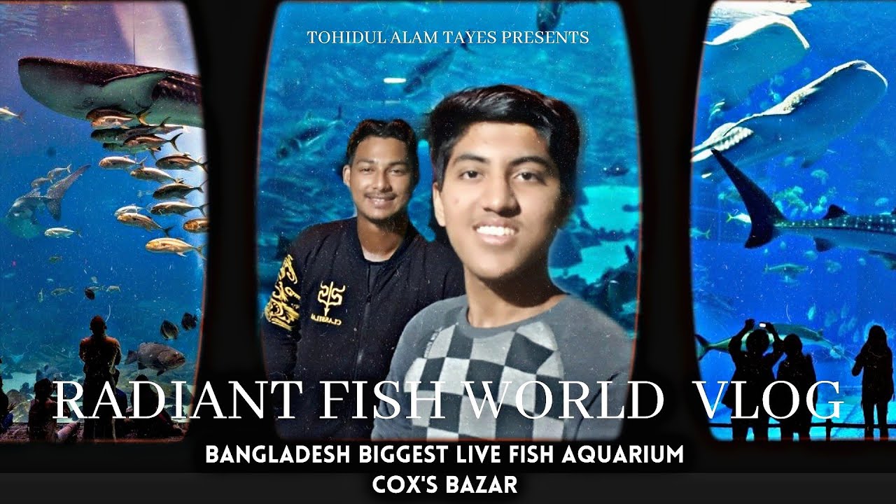 Radiant Fish World Vlog | Cox’s Bazar |Tohidul Alam Tayes | Istiak Ahmed Noyon | Vlog 4
