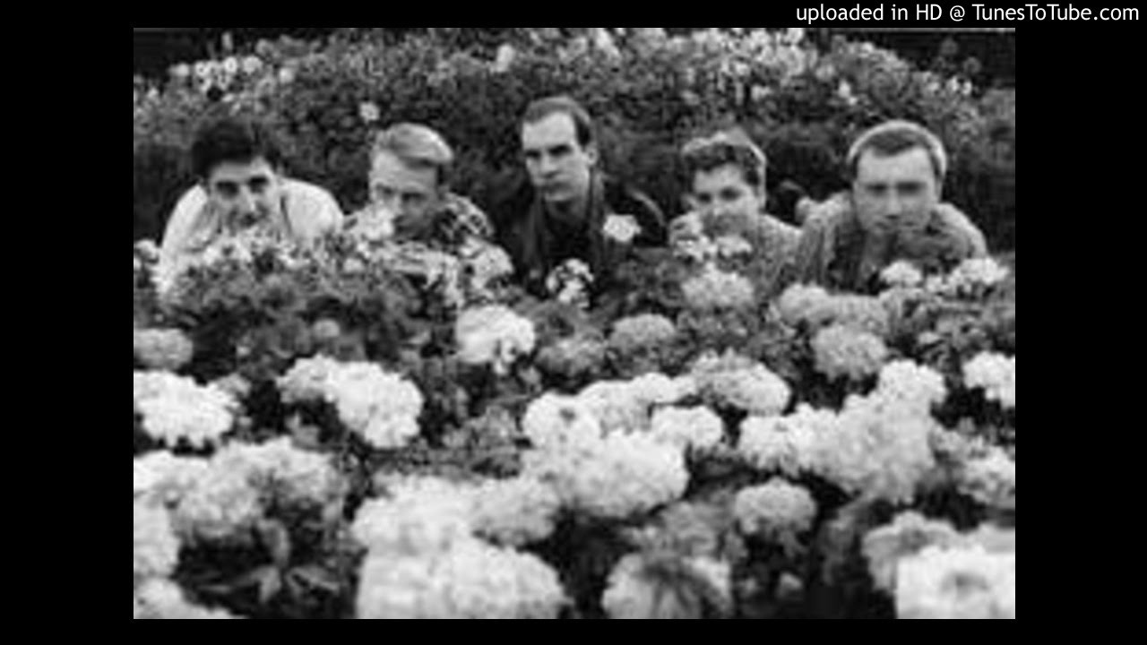 Yeah Yeah Noh - John Peel Session #2 9th April 1985