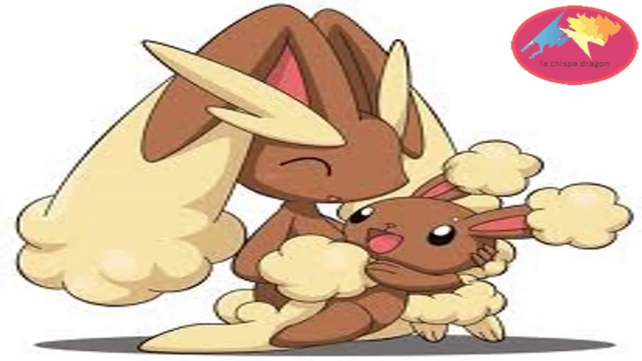 pokecuento el deseo de loppuny