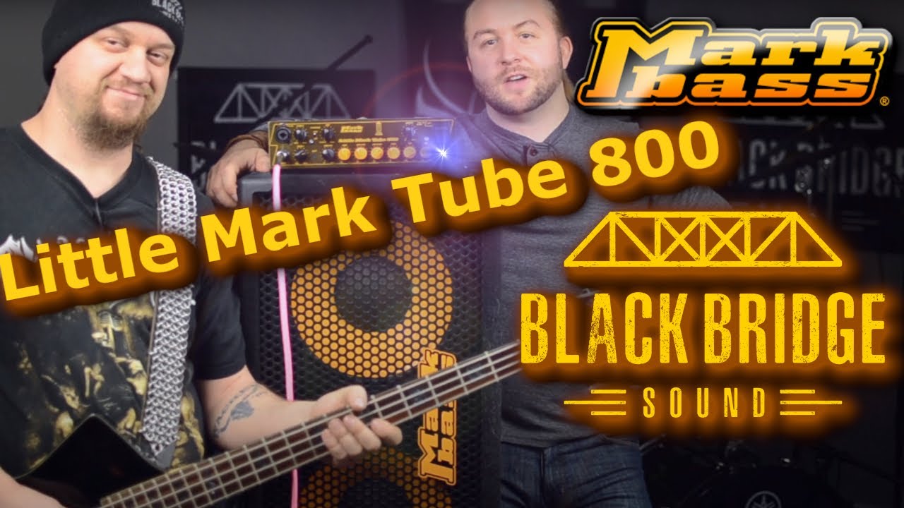 Possibly The Most Important Markbass Review You'll Ever See - Markbass Little Mark Tube 800