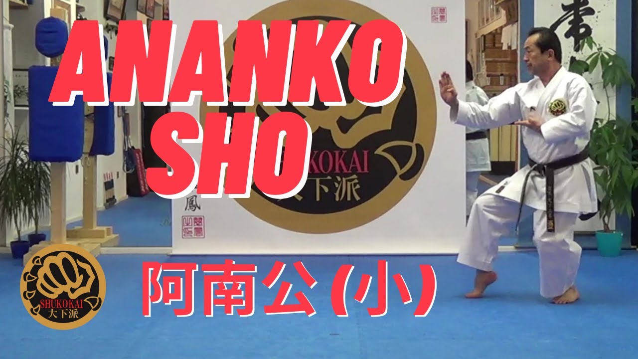 Shitoryu Kata ANANKO SHO & Bunkai, Japanese Karate Grand Master 10th Dan explaines.