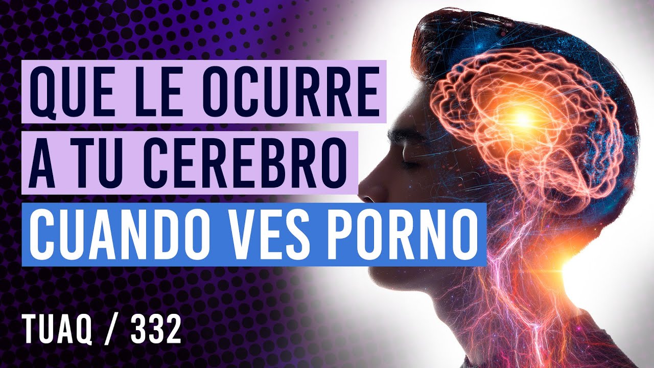 &iquest;Qu&eacute; sucede realmente en tu cerebro cuando ves nopor?