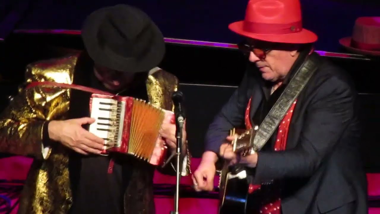 Elvis Costello & Steve Nieve - New Amsterdam / You've Got to Hide Your Love Away(Live in Tokyo 2024)